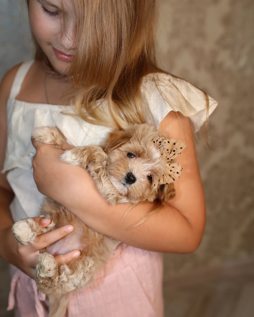 Michael Garcia - CuddleMaltis family