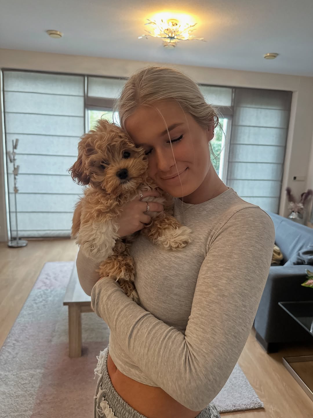 CuddleMaltis - Safe Shipping Nationwide