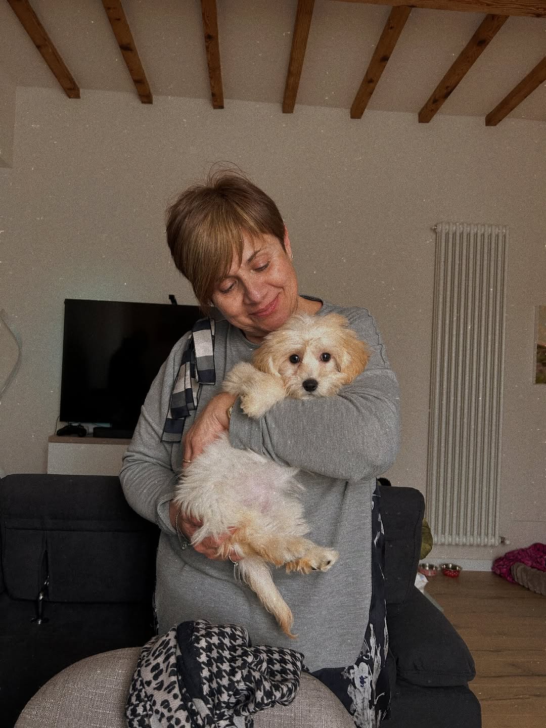 CuddleMaltis - Responsible Breeding