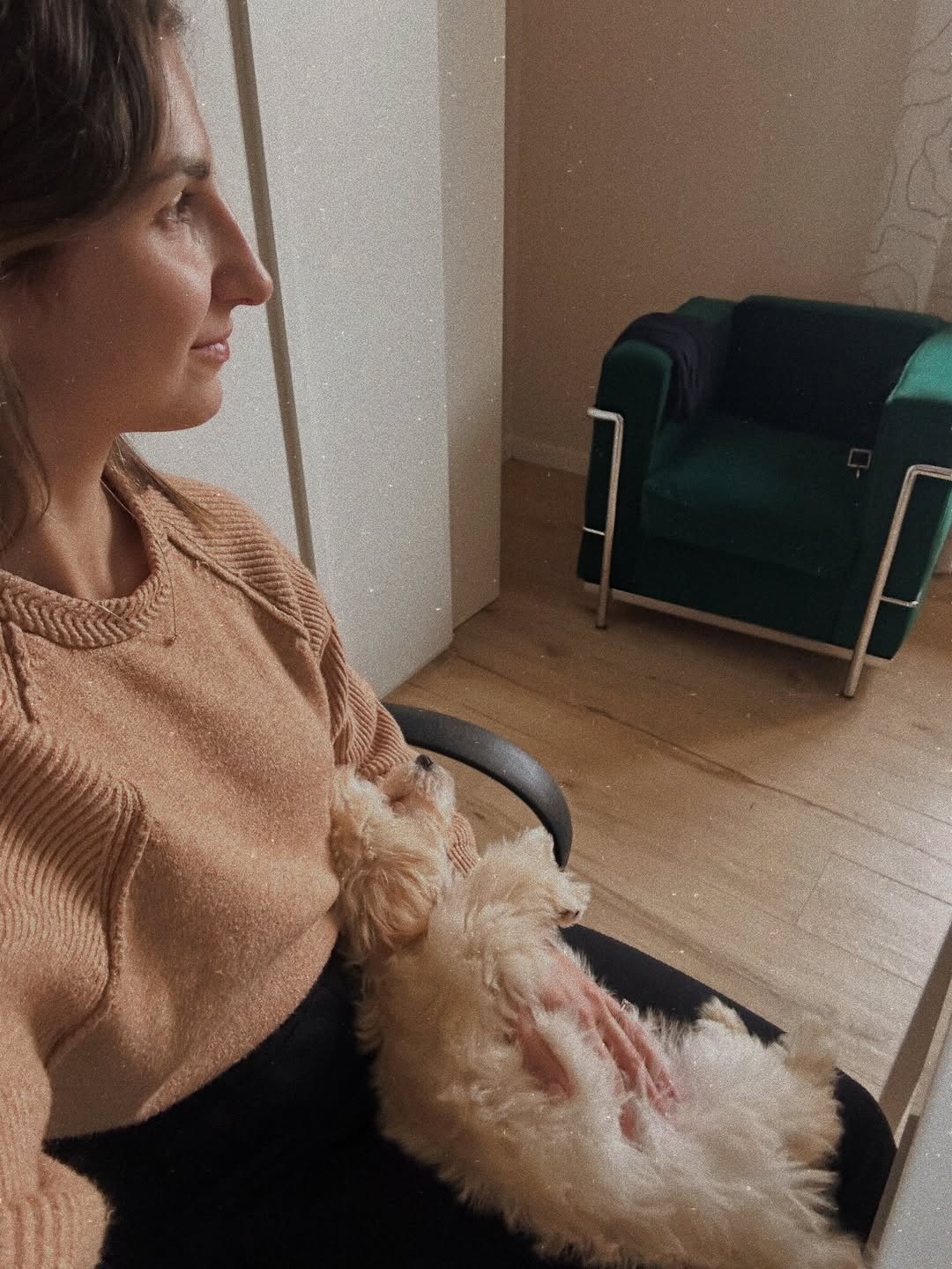 CuddleMaltis - After-Sale Support